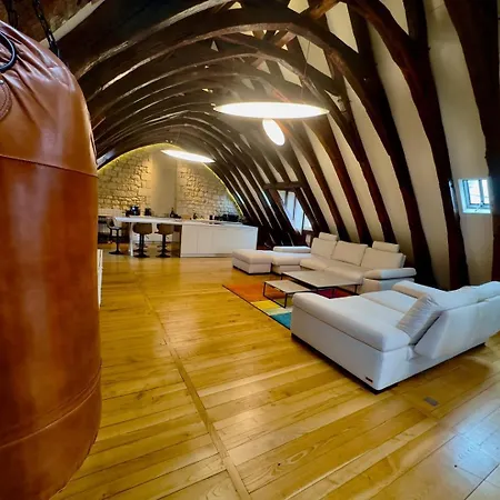 Les Arches Apartment Poitiers